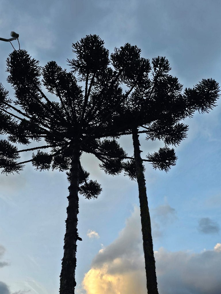 Chalé Lara na Serra Catarinense